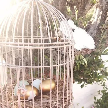 Semesterbostad Filia Archangelos (Rhodes)